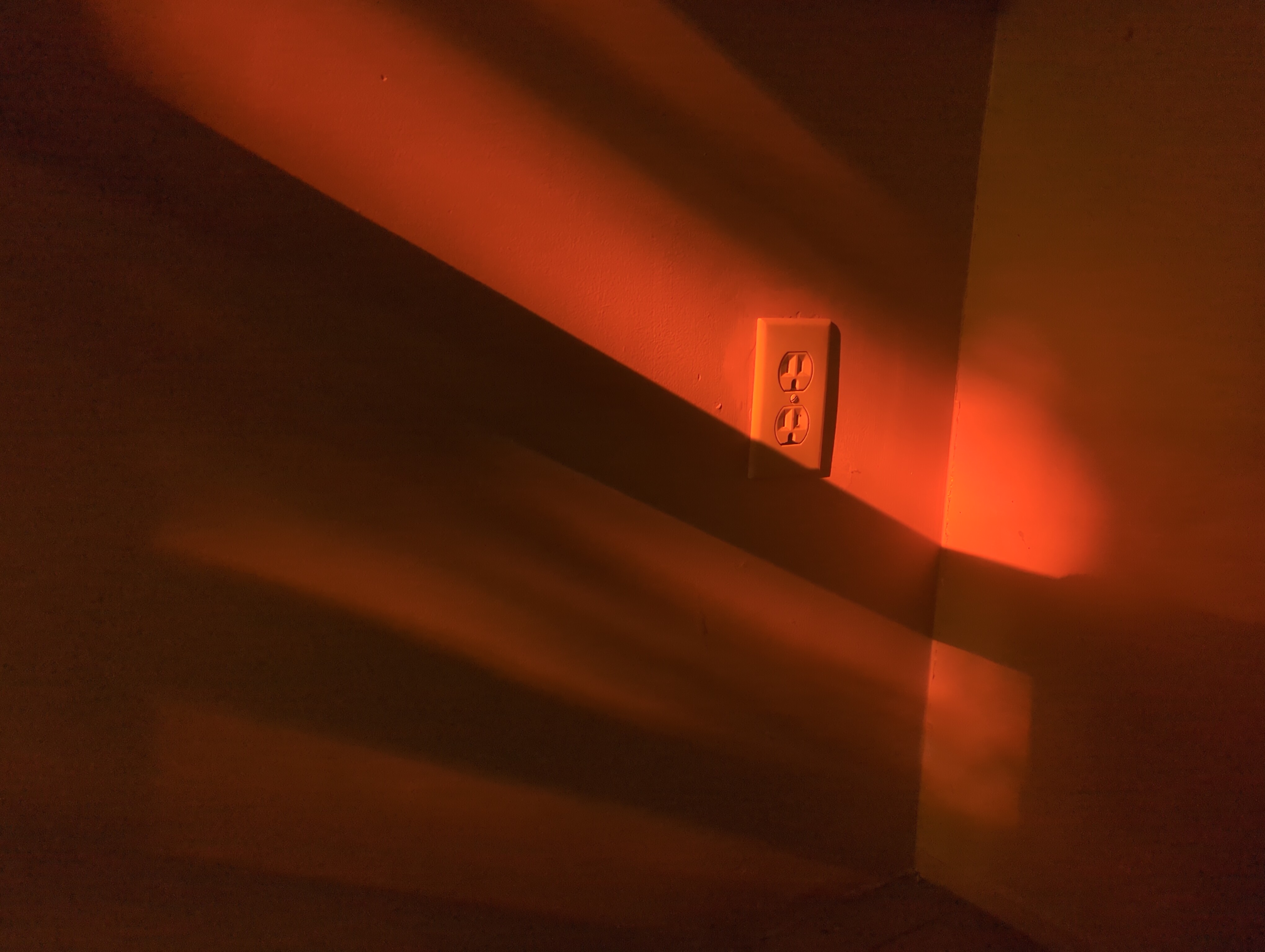 oranger sunlight.jpg